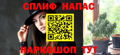 индика Дубна