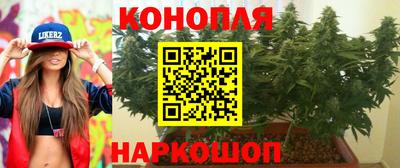 индика Дубна