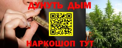 индика Дубна
