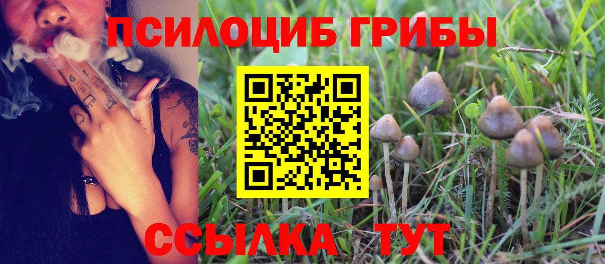 Дятьково  Псилоцибиновые грибы прущие грибы  Галлюциногенные грибы мицелий  Вход с VPN 