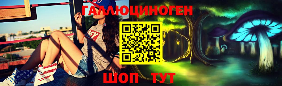 Псилоцибиновые грибы мухоморы Дятьково
